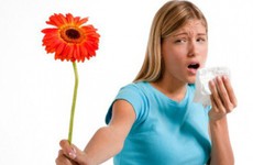 Phương pháp điều trị dị ứng phấn hoa mà hầu như ai cũng phải nằm lòng