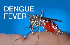 10 câu hỏi thường gặp về bệnh sốt xuất huyết