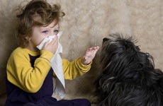 5 nguyên nhân gây viêm mũi dị ứng ở trẻ em