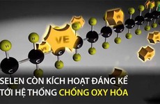 Tác dụng của khoáng vi lượng Selen với sức khỏe con người