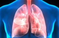 Phương pháp lọc phổi đơn giản ai cũng có thể thực hiện
