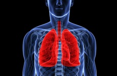 Các phương pháp kiểm tra chức năng phổi tại nhà đơn giản và hiệu quả
