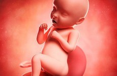 Ung thư cổ tử cung khi mang thai: Điều trị có ảnh hưởng đến thai nhi?