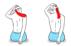 8 bài tập đơn giản giúp giảm cơn đau mỏi vai gáy hiệu quả bạn nên thực hiện mỗi ngày