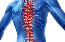 Phân loại đau lưng: Đau lưng trên, đau lưng giữa và đau lưng dưới