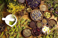 Hỗ trợ điều trị ung thư xương bằng thuốc nam