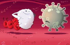 Phân biệt lợi khuẩn và bào tử lợi khuẩn?