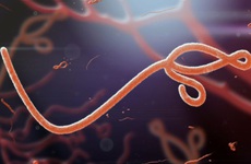 Tìm hiểu chung về dịch bệnh Ebola
