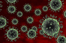 Cúm gia cầm (H5N1): triệu chứng, nguyên nhân, cách điều trị và phòng ngừa