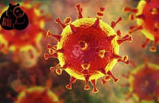 Coronavirus: Tất cả những điều cần biết về triệu chứng và rủi ro