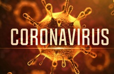 Các bệnh nhân nhiễm virus corona Vũ Hán đa phần được điều trị và hồi phục hoàn toàn: Cảnh giác, nhưng không nên lo lắng