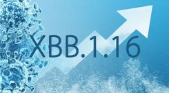 Biến thể XBB.1.16 của Omicron khiến số ca nhiễm COVID-19 tại Thái Lan gia tăng có nguy hiểm không?
