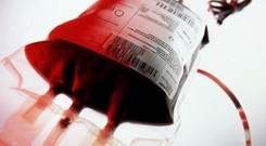Bệnh tan máu bẩm sinh có chữa được không?