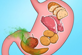 [Infographics] - 8 bộ phận cơ thể bị "bào mòn" như thế nào bởi thức ăn nhanh?