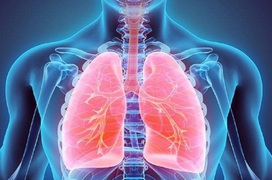 Tràn khí màng phổi: Từ A đến Z về tình trạng tràn dịch màng phổi mà bạn cần biết