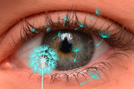 Viêm kết mạc dị ứng là gì? (Đau mắt đỏ dị ứng là gì) và những điều cần biết về bệnh