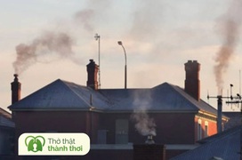 Ô nhiễm không khí trong nhà là gì? Mối quan hệ giữa ô nhiễm không khí trong nhà và sức khoẻ lá phổi