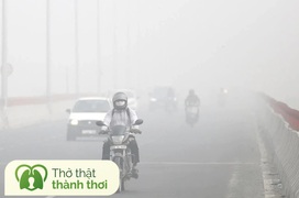Chỉ số ô nhiễm không khí là gì? Chỉ số ô nhiễm không khí bao nhiêu là nguy hiểm?