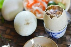 Tác dụng của trứng vịt lộn với nam giới là gì? Cần lưu ý gì khi ăn trứng vịt lộn?