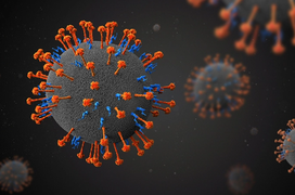 Trung Quốc phát hiện virus mới “LayV” có khả năng gây chết người