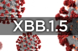 Triệu chứng COVID-19 thường gặp khi mắc biến thể XBB.1.5, phòng ngừa và điều trị thế nào?