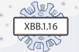 Những điều cần biết về biến thể XBB.1.16 đang gia tăng tại Châu Á