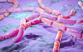 Ngộ độc thực phẩm do Bacillus cereus: Từ A - Z những điều bạn cần biết