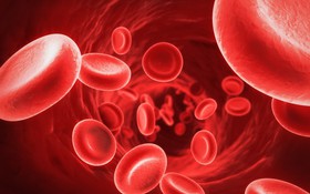 Bệnh nhân sốt xuất huyết nên ăn gì để tăng tiểu cầu?