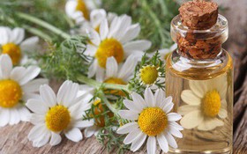 5 loại thảo dược giúp giảm cảm giác lo âu