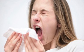 Ngứa mũi, hắt hơi liên tục và những dấu hiệu của bệnh viêm mũi dị ứng