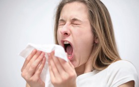 Bệnh viêm mũi dị ứng có lây truyền không?