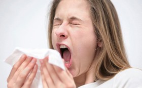 Viêm mũi dị ứng khi nào cần điều trị?