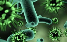 So sánh virus và vi khuẩn: Cấu trúc, kích thước, hình dạng, cách thức sinh sản, ...