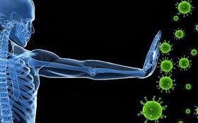 Một người bị nhiễm virus bao lâu thì phát bệnh?