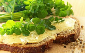 Ung thư phổi nên ăn gì? 14 loại thực phẩm nên bổ sung vào chế độ ăn hàng ngày cho bệnh nhân
