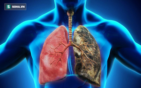 7 thói quen tốt cho phổi bạn nên làm hàng ngày