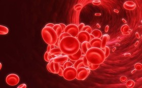 Xét nghiệm sốt xuất huyết giảm tiểu cầu cần thực hiện khi nào?