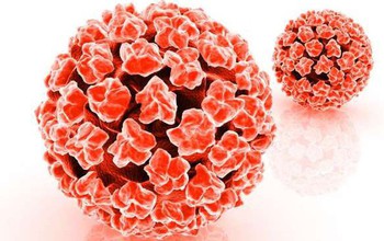 Chớ coi thường virus HPV - nguyên nhân bệnh mụn cóc sinh dục ở nam giới 