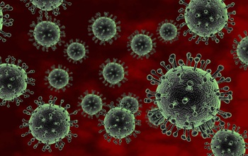 Cúm gia cầm (H5N1): triệu chứng, nguyên nhân, cách điều trị và phòng ngừa
