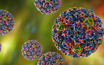 Những câu hỏi thường gặp về virus HPV
