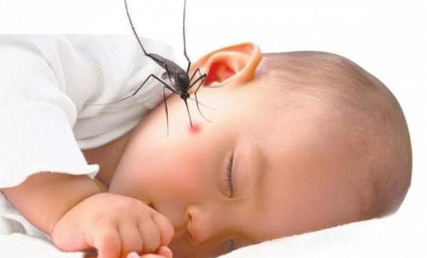 PGS.TS Nguyễn Tiến Dũng: Trẻ em có nguy cơ mắc sốt xuất huyết nặng hơn người lớn