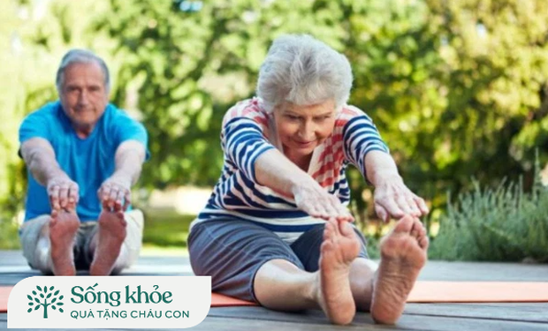 9 bài tập Yoga cho người cao tuổi sống thọ, sống lâu