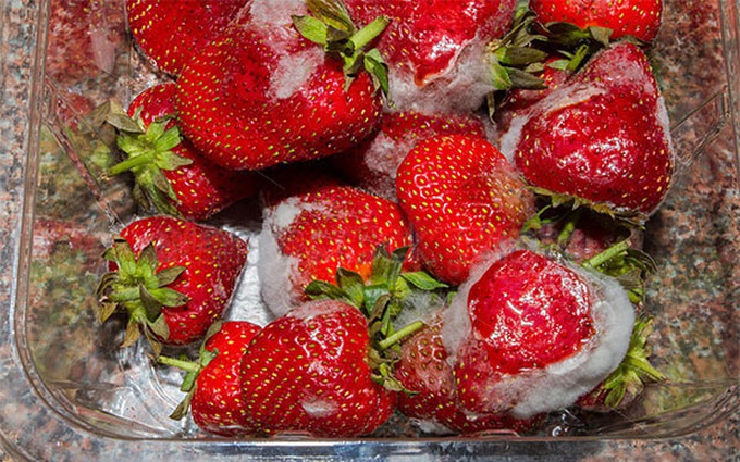 Ăn trái cây bị mốc để trong tủ lạnh có khiến bạn gặp vấn đề về sức khỏe không?