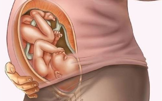Sự phát triển của thai nhi trong 3 tháng cuối thai kỳ