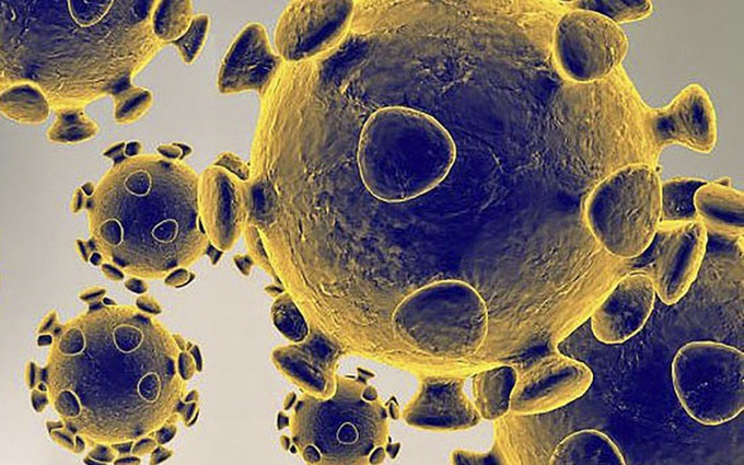Các nhà khoa học tìm ra chất ức chế gene ngăn virus corona sinh sôi