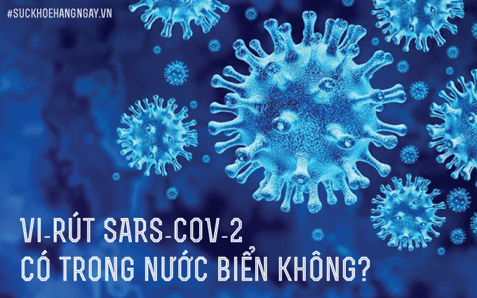 Vi-rút SARS-CoV-2 có trong nước biển không? Đây là câu trả lời của chuyên gia!