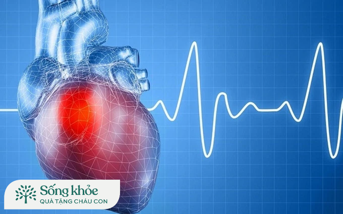 Nhịp tim bình thường của người già là bao nhiêu và chúng thay đổi như thế nào?
