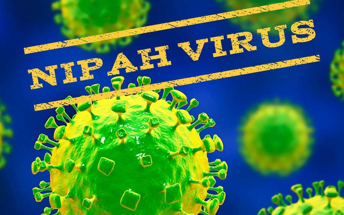 Chuyên gia nói gì về chủng virus Nipah có thể gây chết người gấp 75 lần virus SARS-CoV-2