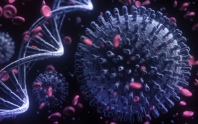 Virus Rubella: Nguyên nhân gây bệnh Rubella và những điều cần biết