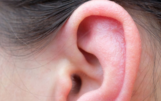 Nguyên nhân, triệu chứng, biện pháp khắc phục vành tai có vảy trắng 